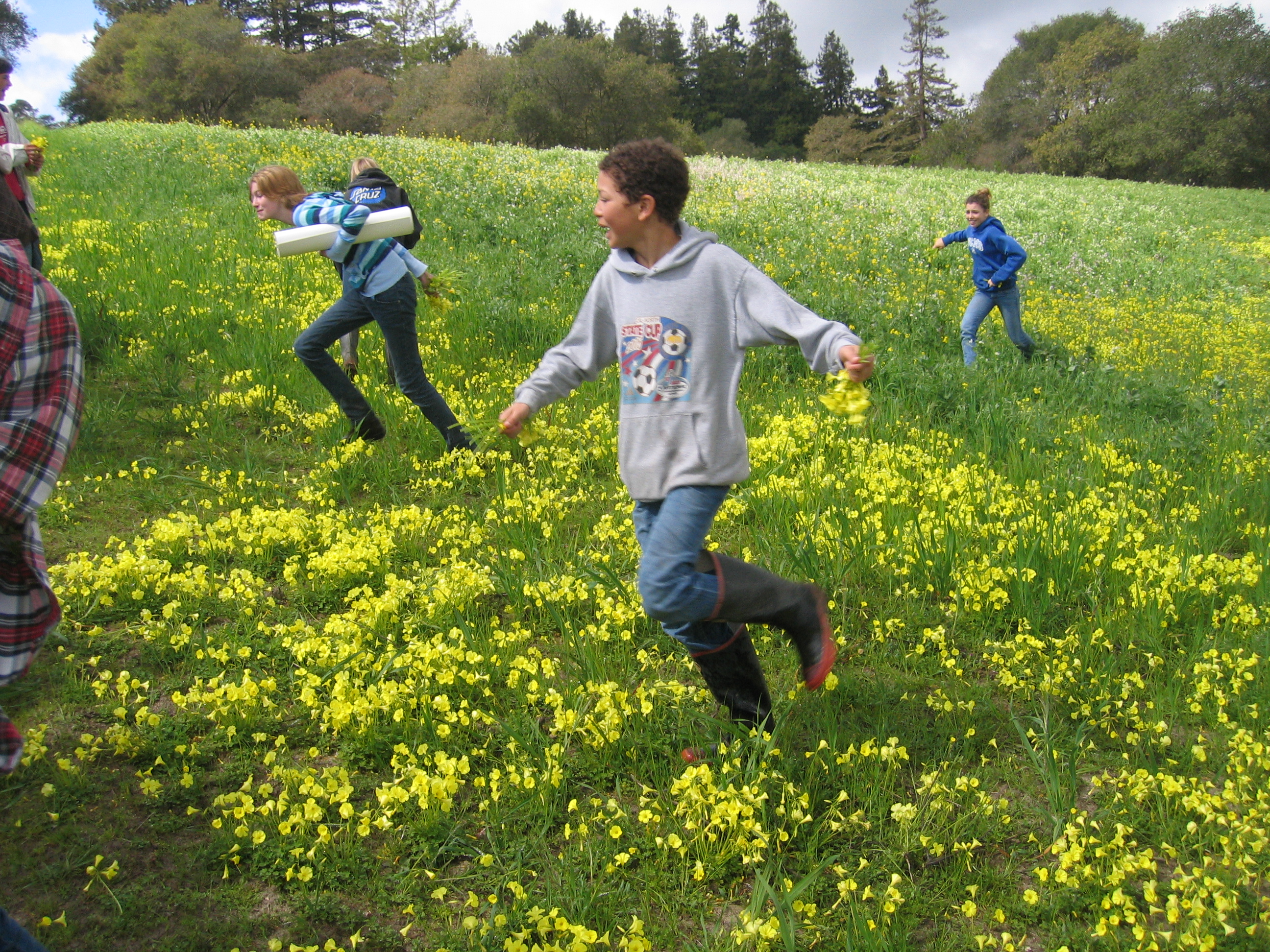 Live Earth Farm