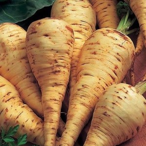 parsnips