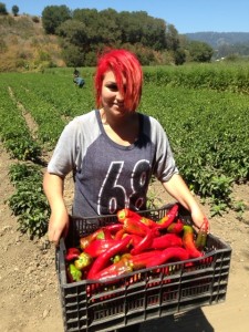 photo (2)