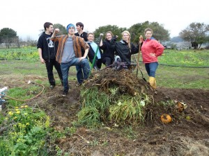 “The ground's generosity takes in our compost and grows beauty! Try to be more like the ground.” --Rumi