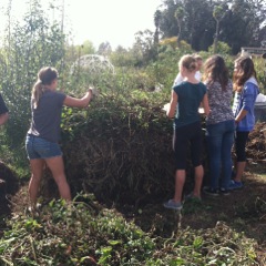 fieldstudies compost